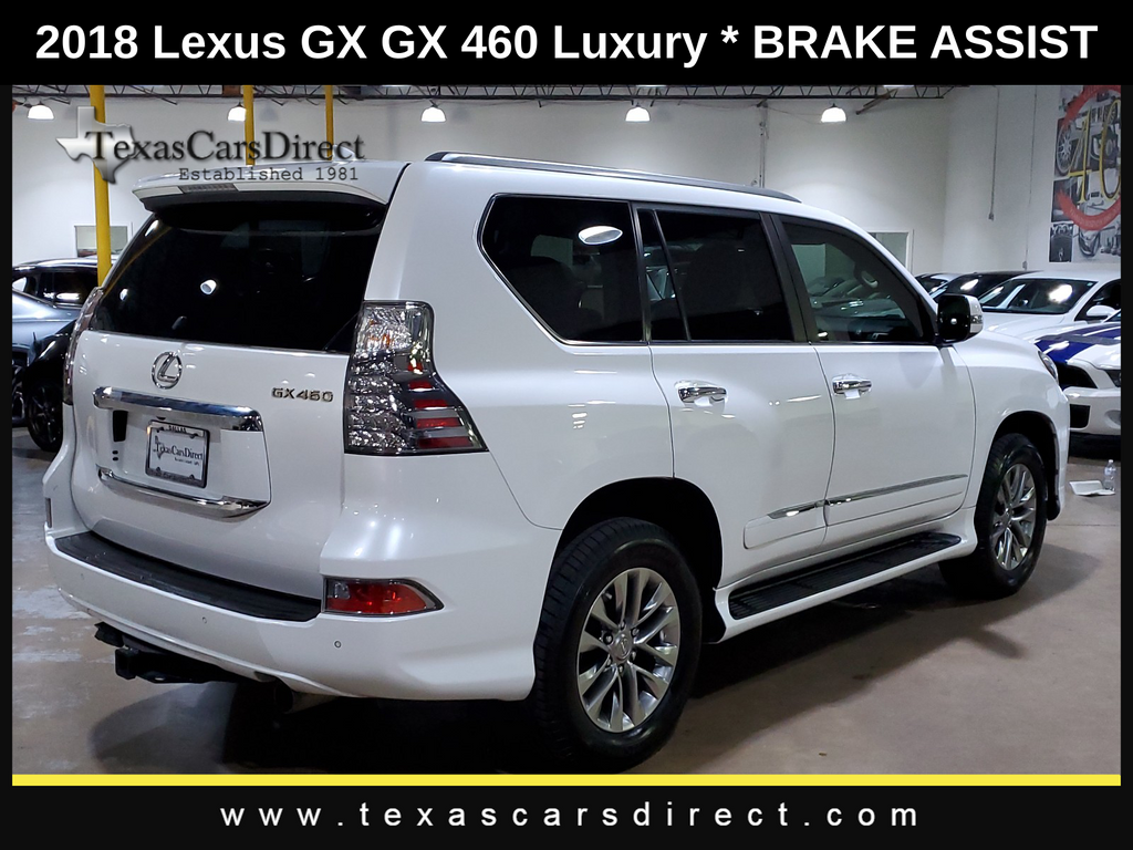 2018 Lexus GX 460 Luxury 10