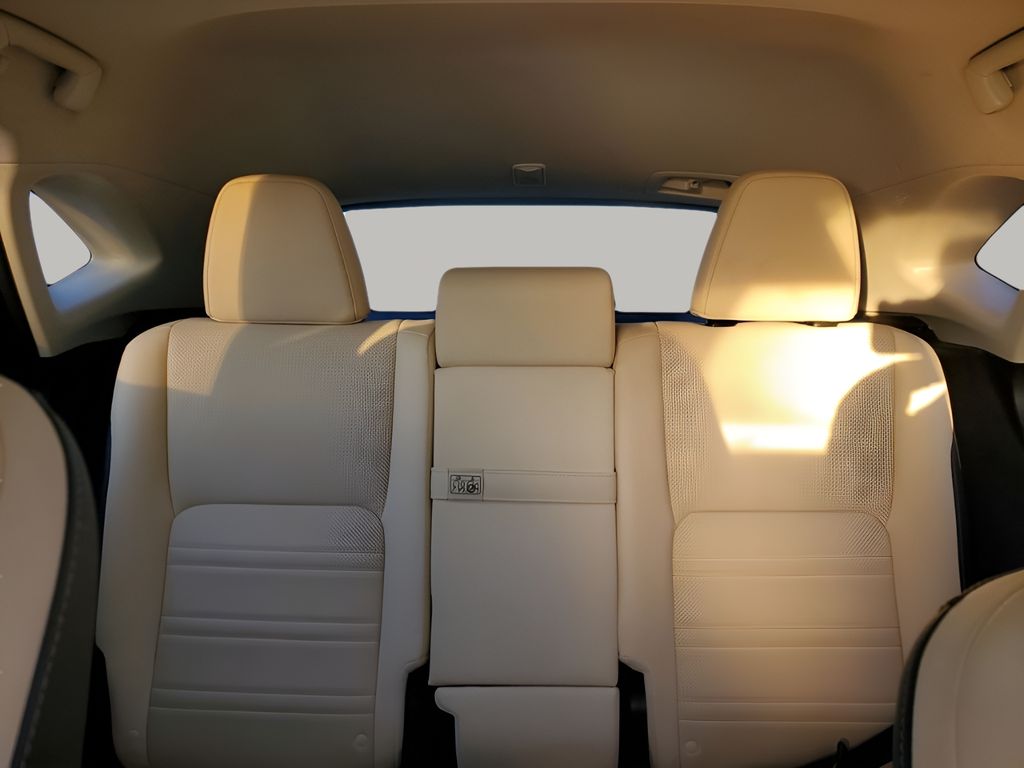 Used Car 2019 Lexus Nx  300 Base For Sale Under $30,000 In Austin, Texas