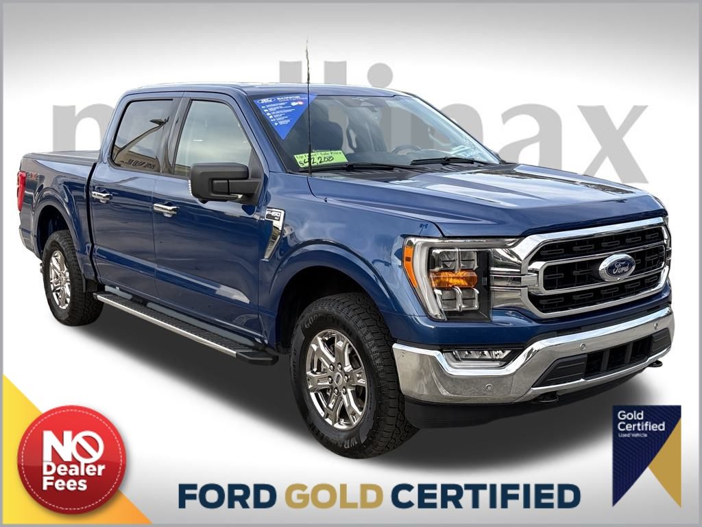 2023 Ford F-150 XLT's photo