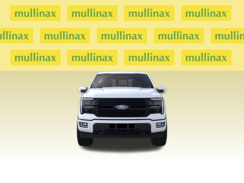 New 2026 White Ford Platinum image 10