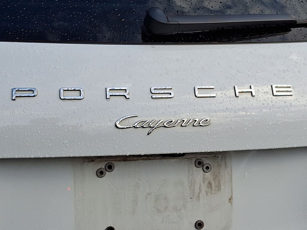 2018 Porsche Cayenne Platinum Edition 31