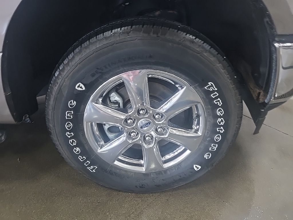 Used 2019 Ford F-150 Truck