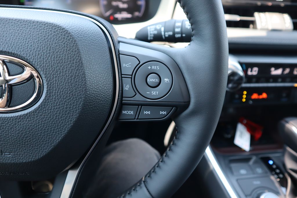 2025 Toyota RAV4 Limited 12
