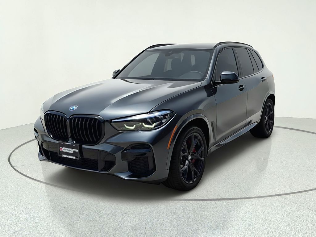 2022 BMW X5 xDrive40i Gray at Westside Lexus
