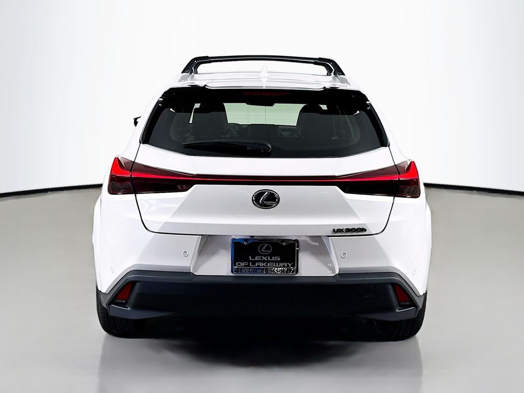 2025 Lexus UX 300h 6