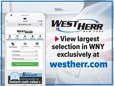 Used 2022 Blue Ford XLT image 4