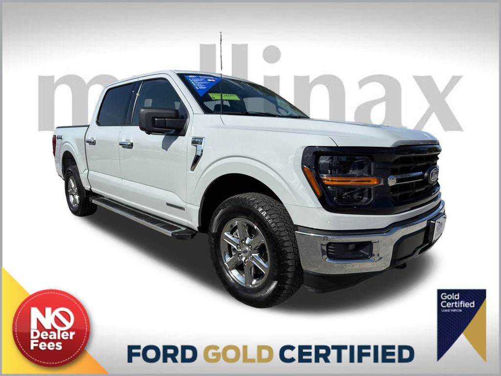 2024 Ford F-150 XLT's photo