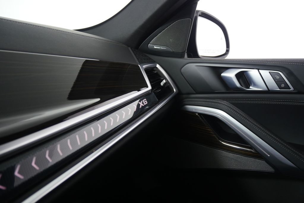 Thumbnail: 2025 BMW X6 - 31