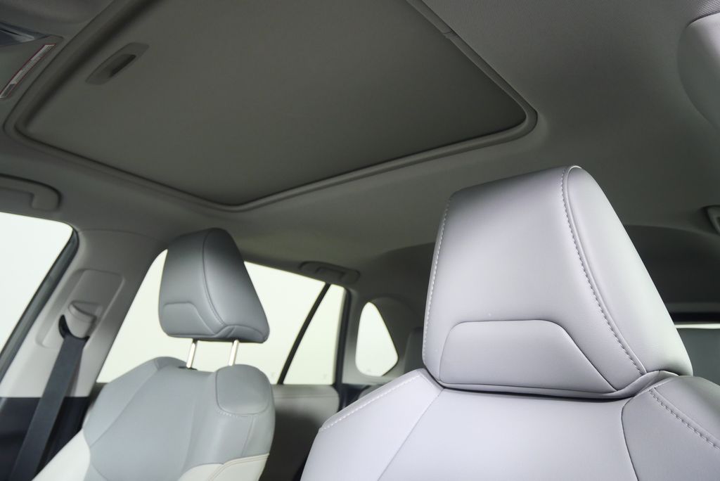 Thumbnail: 2019 Toyota RAV4 - 12