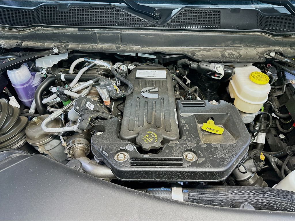 New 2026 Black Ram Tradesman 12in image 18