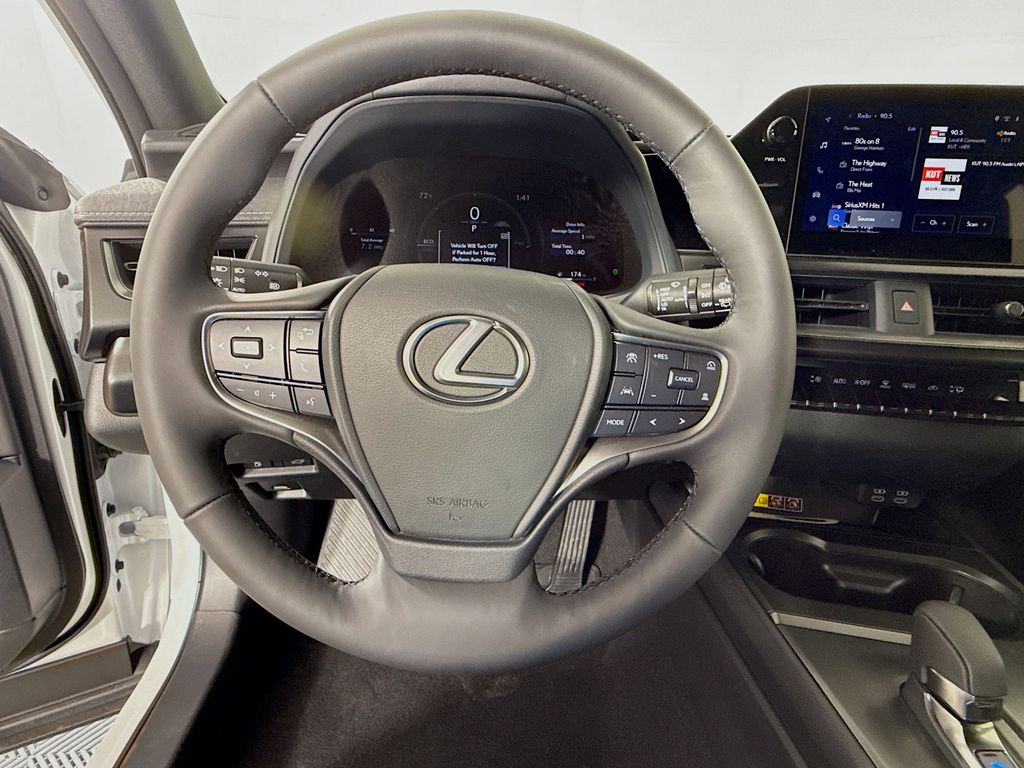 2025 Lexus UX 300h 10