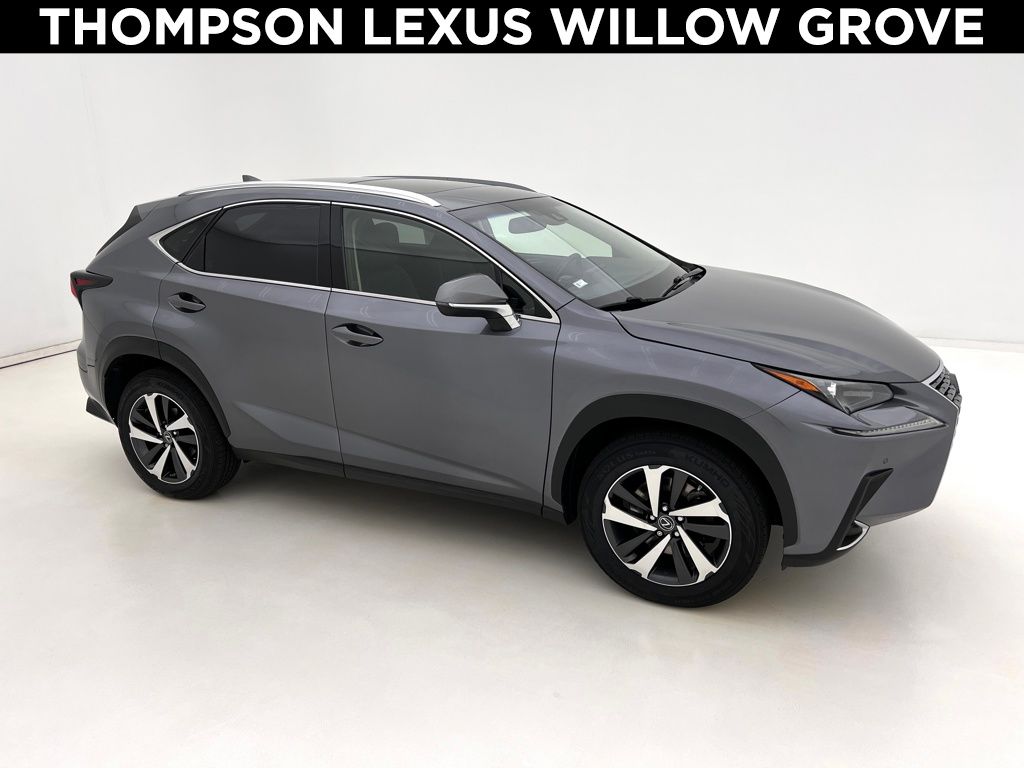 2019 Lexus NX 300 AWD