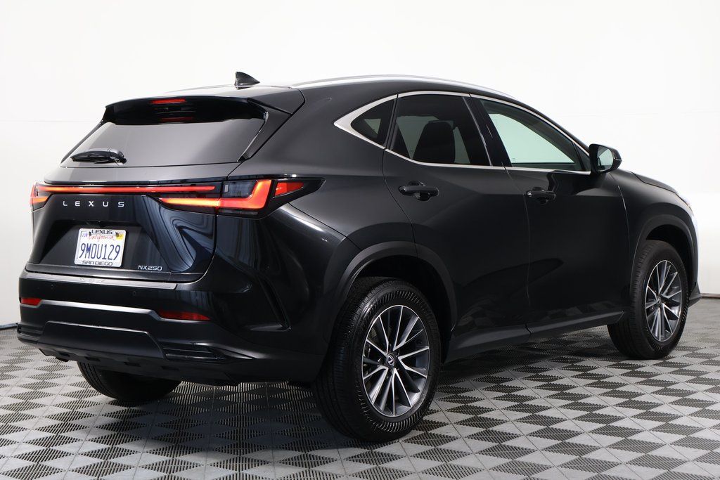 2025 Lexus NX 250 4