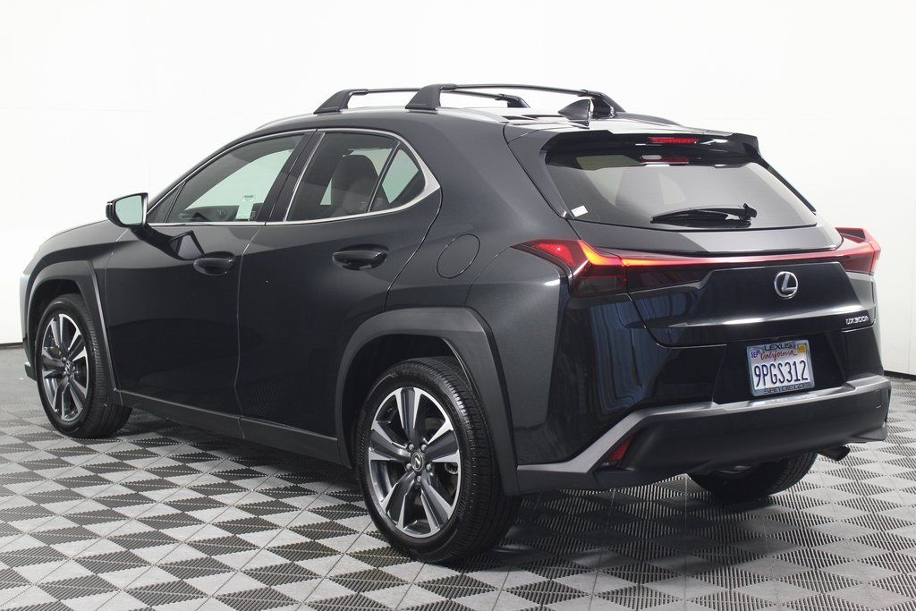 2025 Lexus UX 300h 6