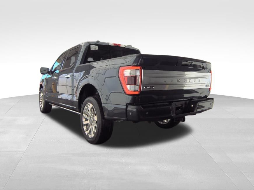 2021 Ford F-150 Limited 4