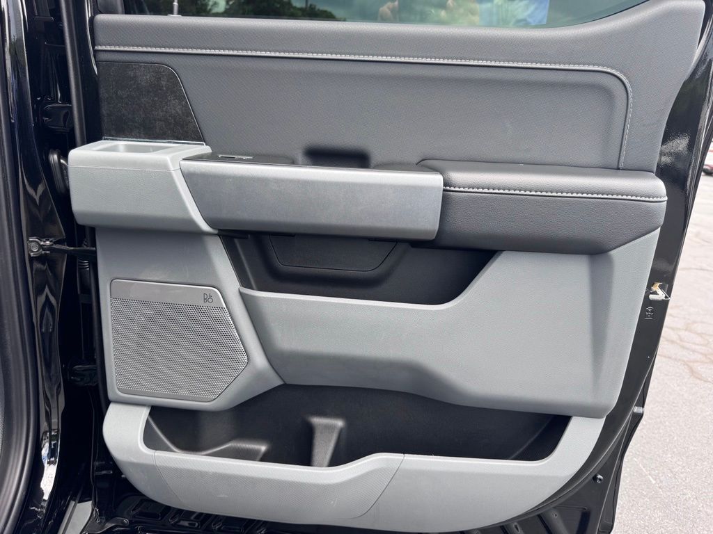 FordF-150 Lightning28
