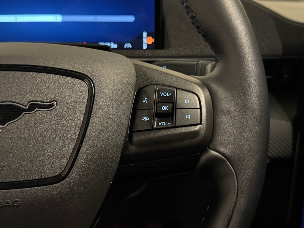 2025 Gray Metallic Ford Mustang Mach-E Premium RWD SUV