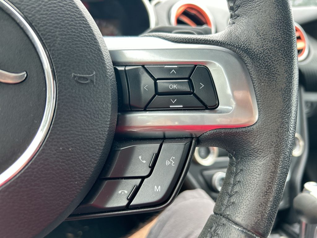 Thumbnail: 2019 Ford Mustang - 15