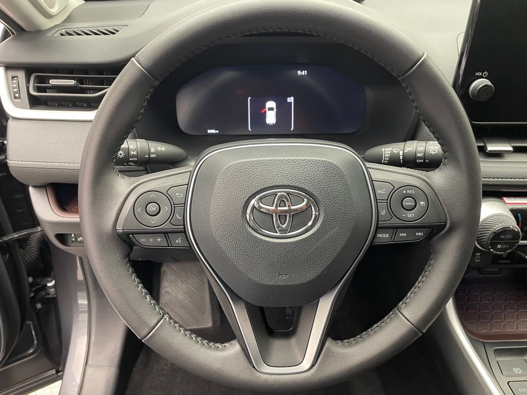 2024 Toyota RAV4 Limited 19