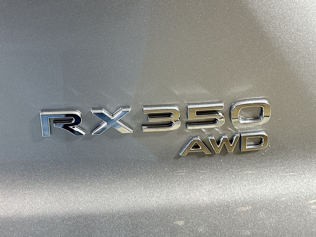 2025 Lexus RX 350 Premium+ 22