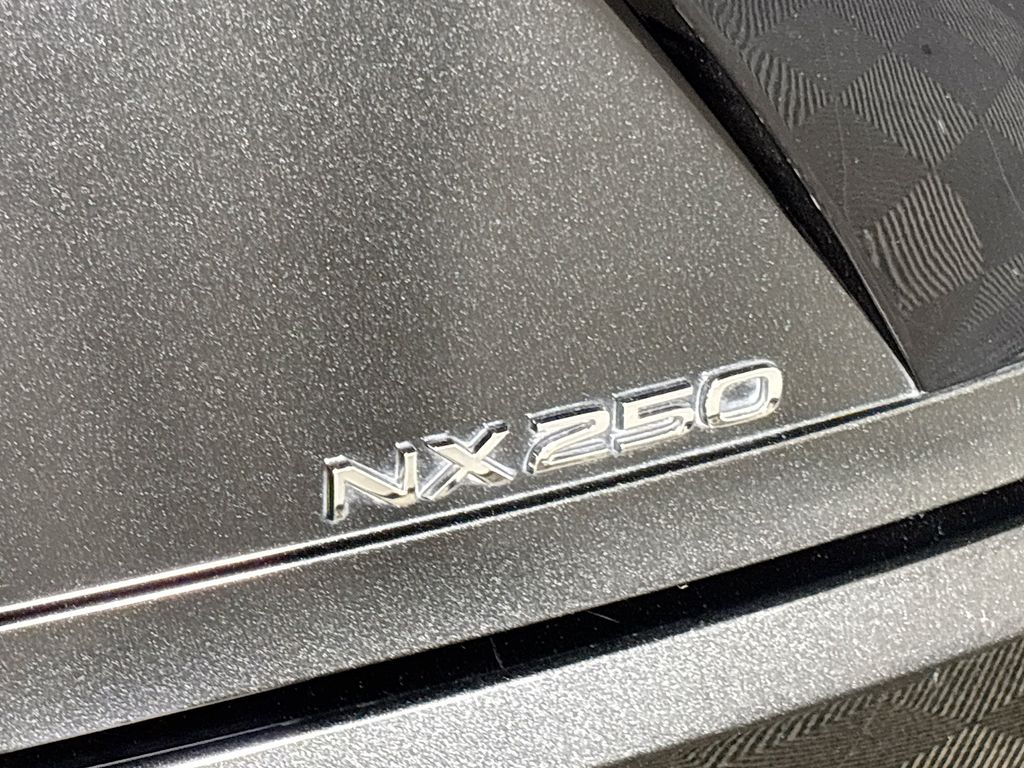 2023 Lexus NX 250 Base