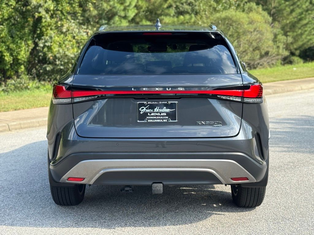 2024 Lexus RX 350 Luxury photo 10