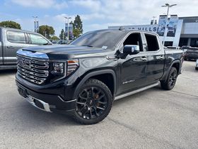 2025 GMC Sierra 1500 Denali Crew Cab 4WD