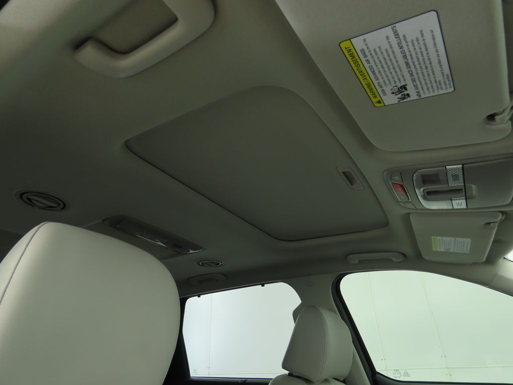 2025 Kia Telluride EX 19