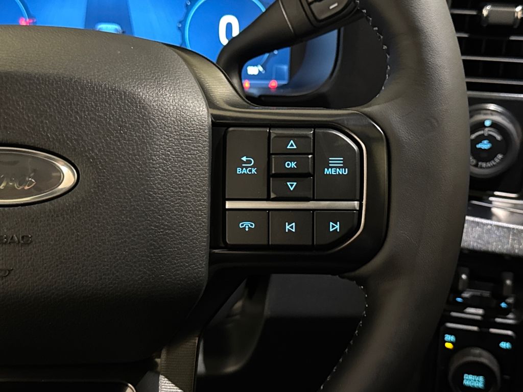 New 2026 Blue Ford Platinum image 33