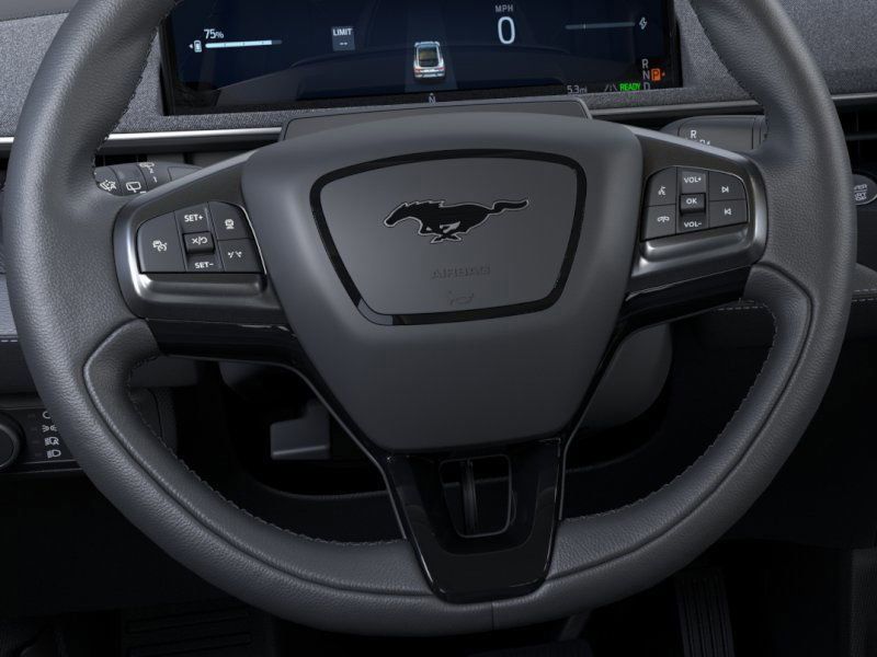New 2025 White Ford Premium image 13