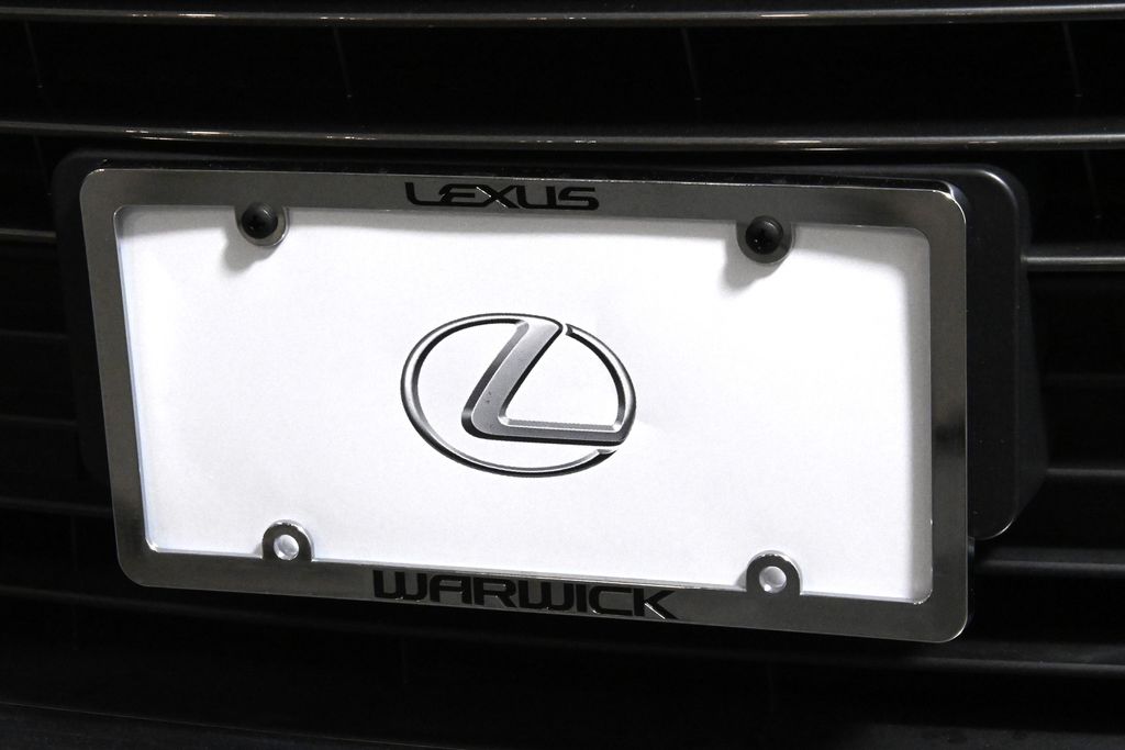 2019 Lexus RX Hybrid 450h 14