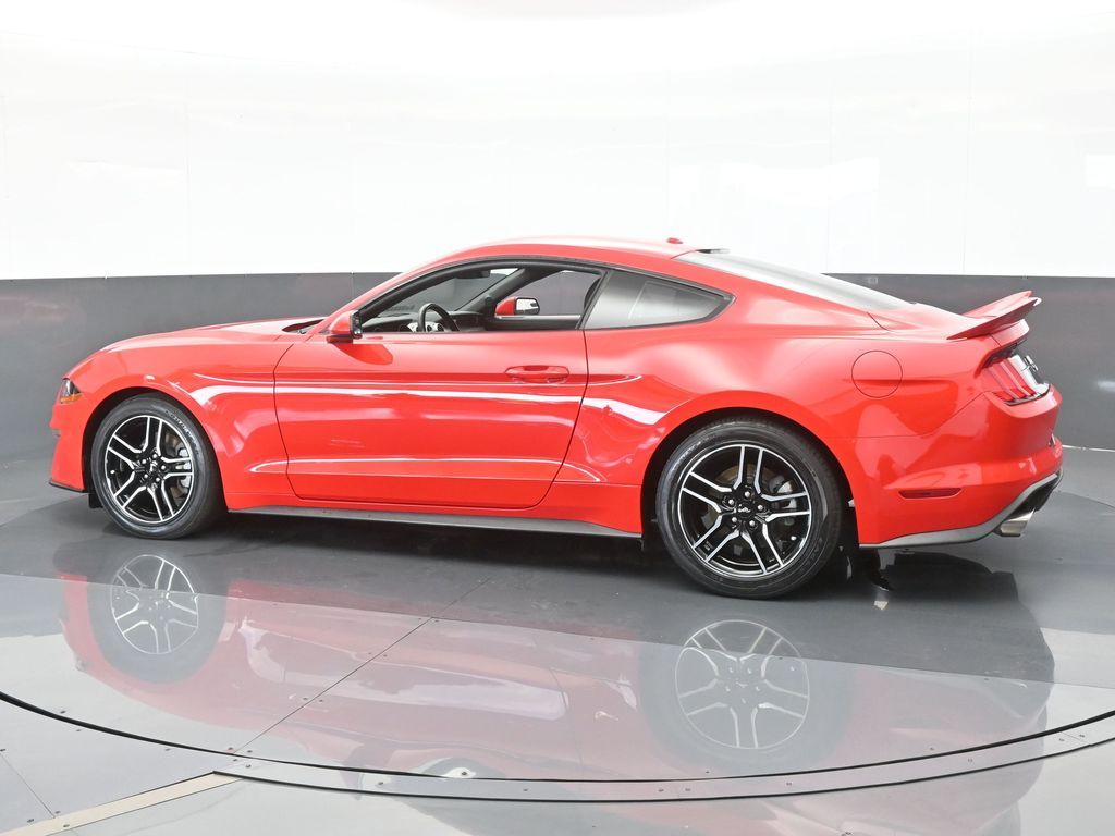 Used 2019 Ford Mustang EcoBoost with VIN 1FA6P8TH1K5132945 for sale in Miami, FL