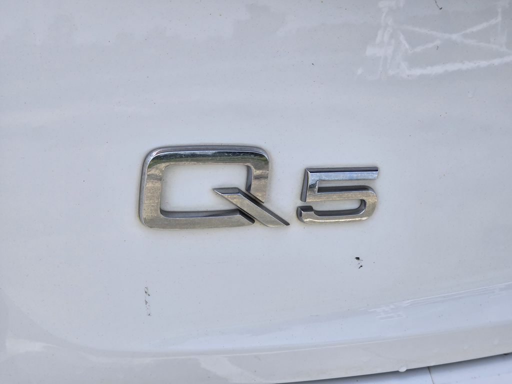 2019 Audi Q5 2.0T Premium Plus White at Legacy Ford
