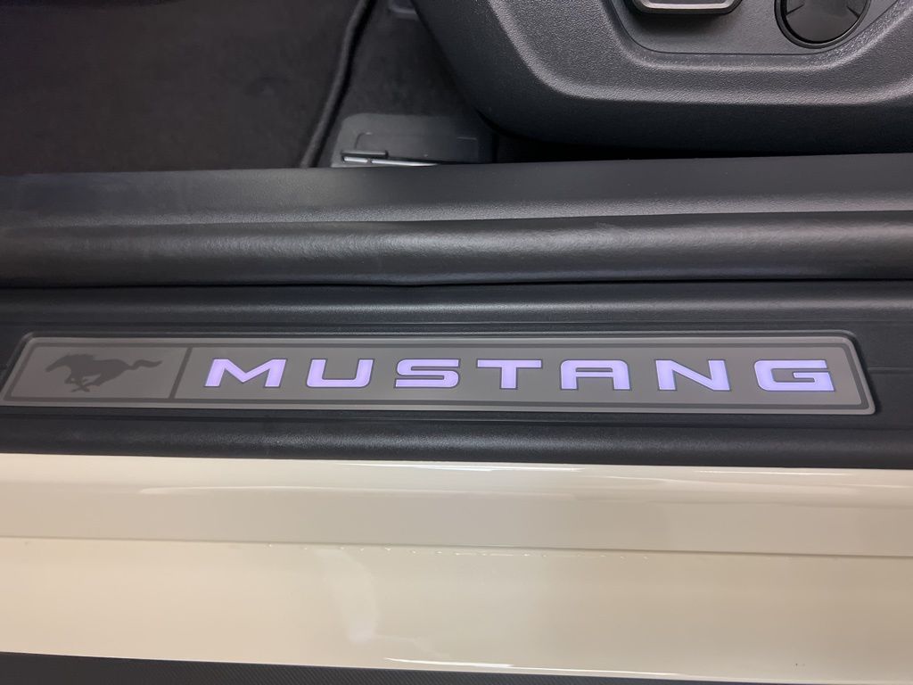 2025 Ford Mustang GT Premium Fastback - Photo 30