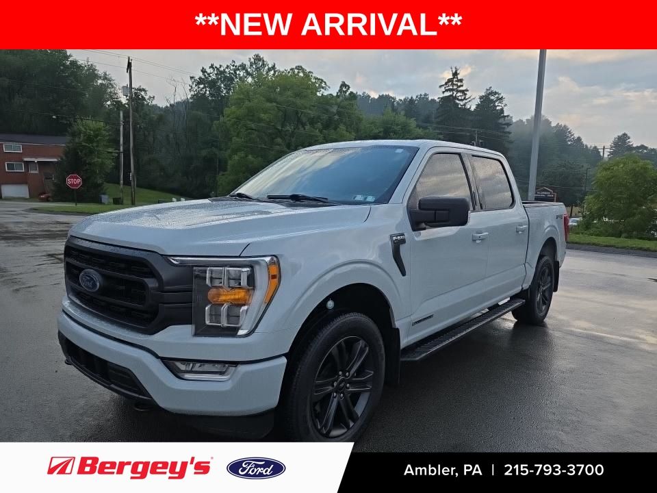 Avalanche 2023 Ford F-150 Pickup Truck Four-Wheel Drive Automatic