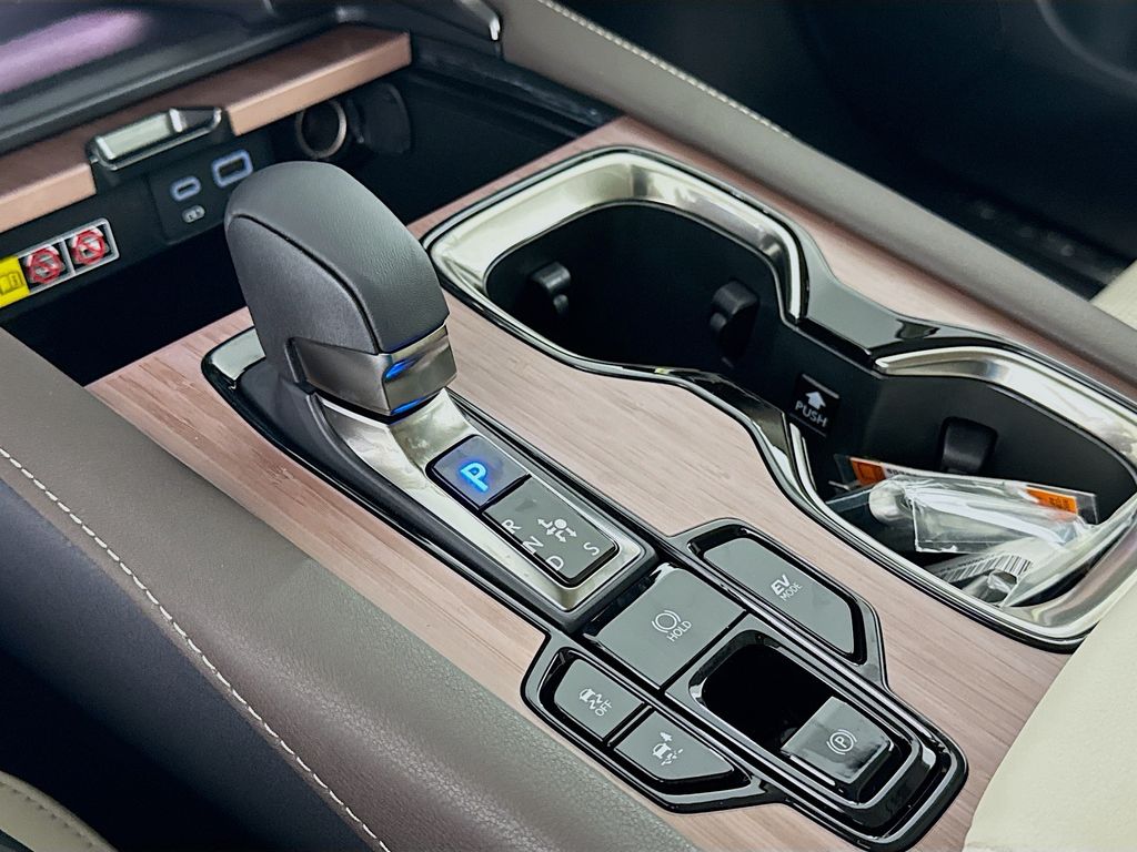 2025 Lexus RX  15