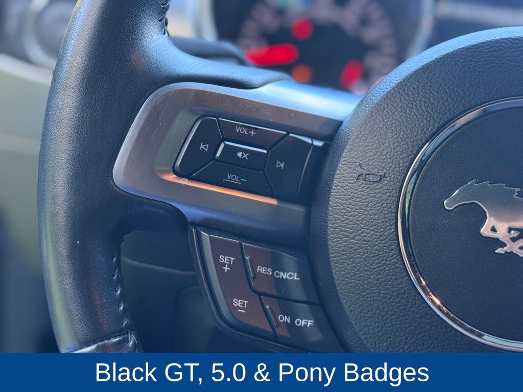 2019 Ford Mustang GT Premium