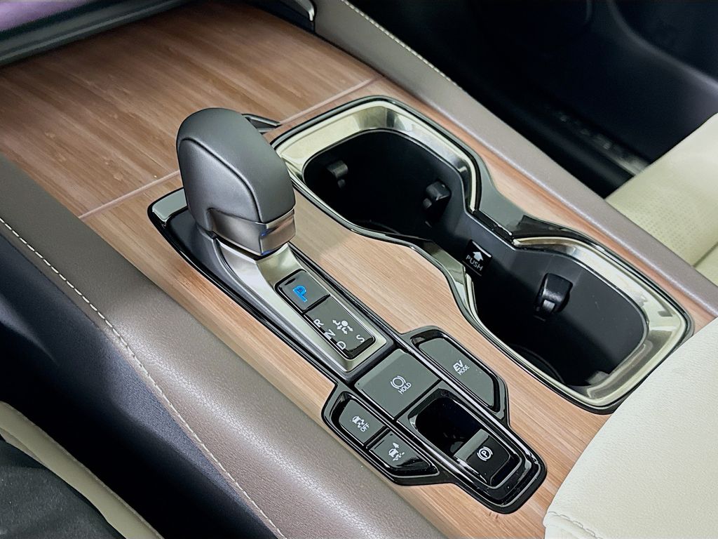 2025 Lexus RX  15