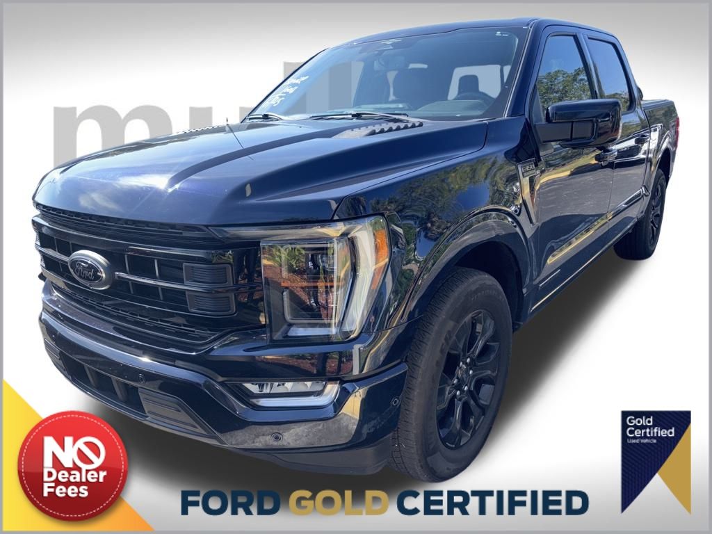 2023 Ford F-150 Platinum's photo