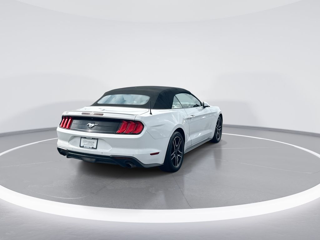 2019 Ford Mustang EcoBoost Premium - 7