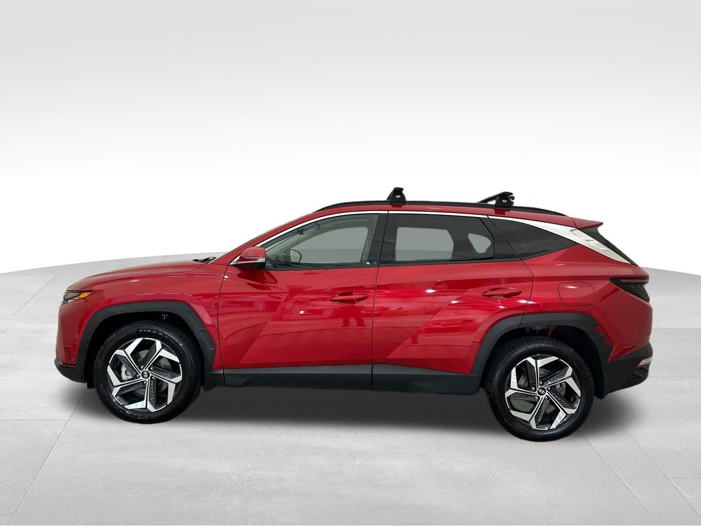 Used 2023 Red Hyundai Limited image 2