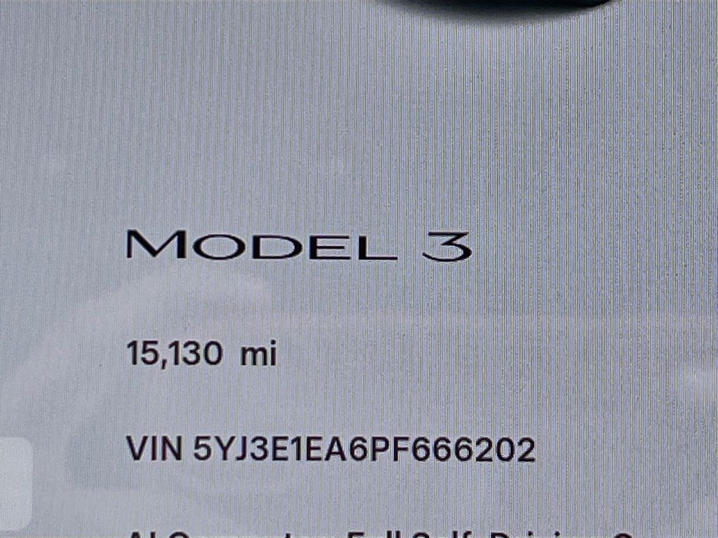 2023 Tesla Model 3 Base Gray at Shottenkirk Kia Fort Bend
