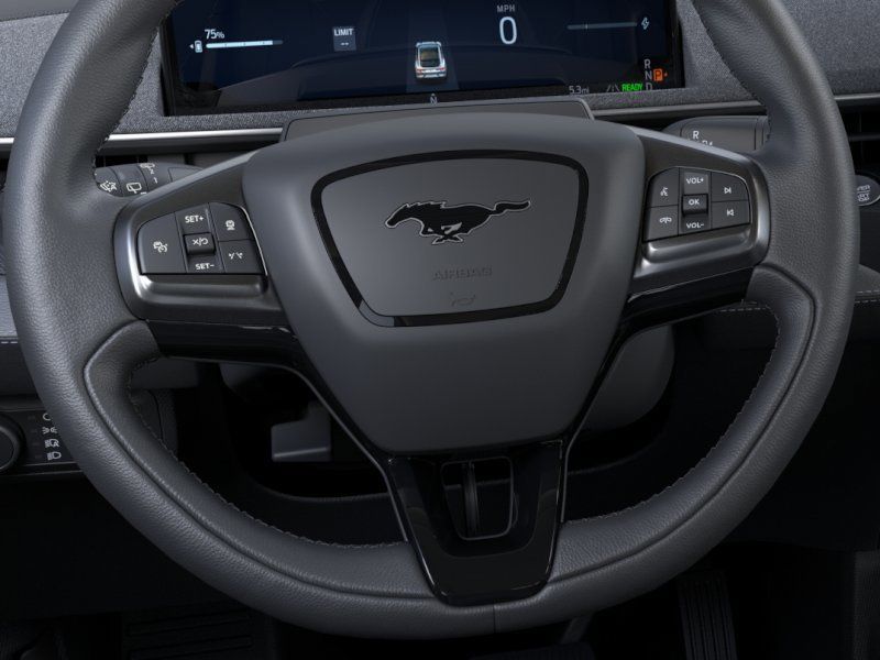 New 2025 Black Ford Premium image 12