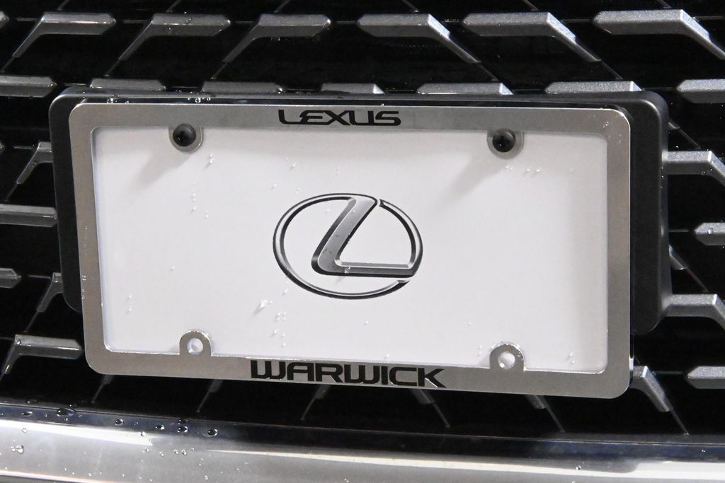 2020 Lexus RX Hybrid 450h 14