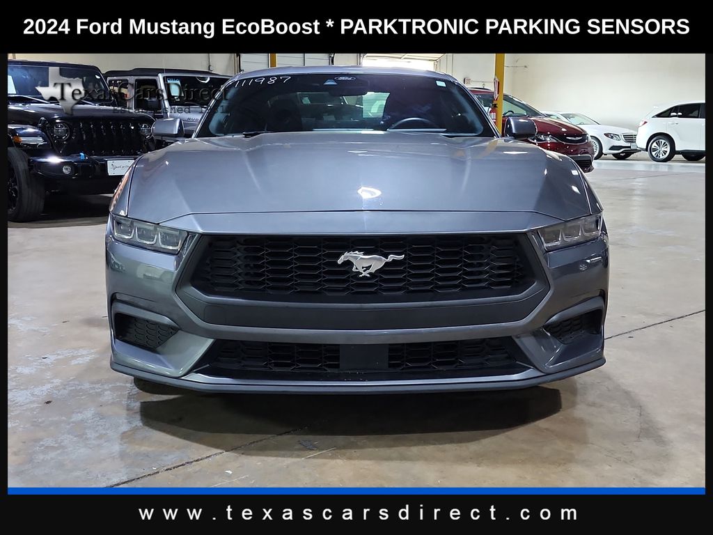 2024 Ford Mustang EcoBoost photo