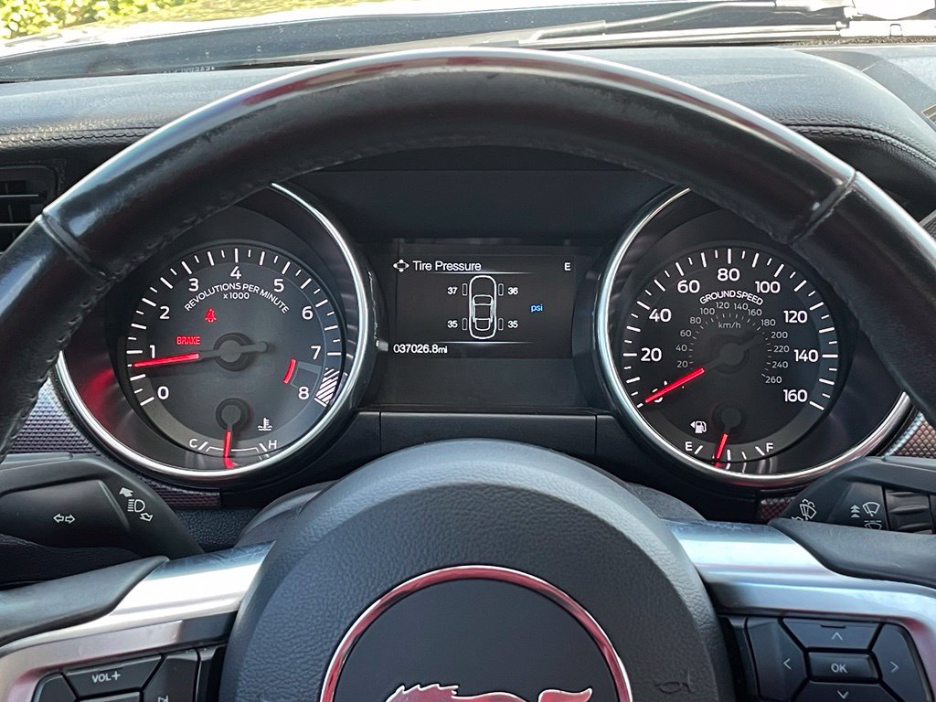 2019 Ford Mustang #14