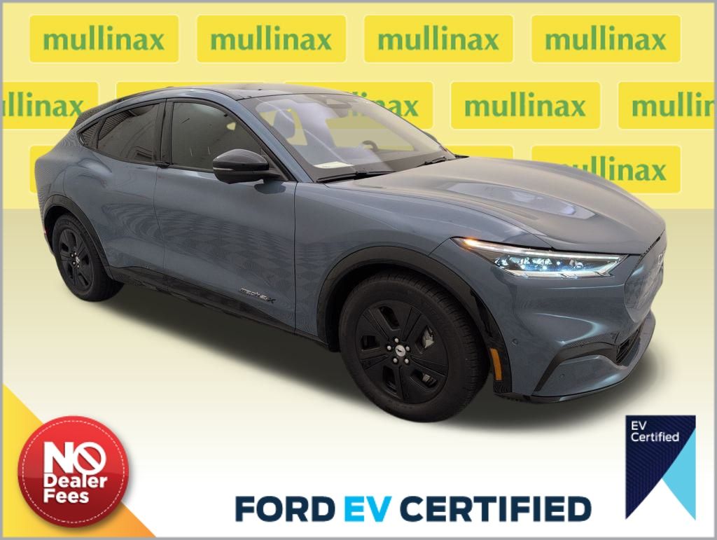 2023 Ford Mustang Mach-E California Route 1 AWD's photo