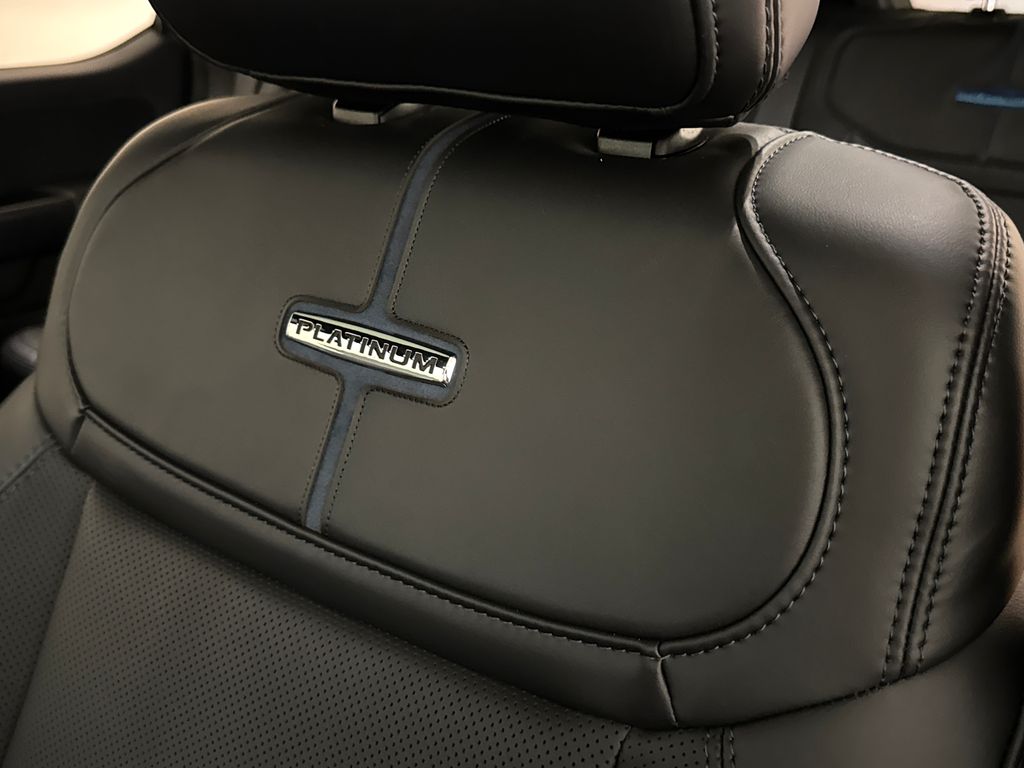 New 2026 Gray Ford Platinum image 26
