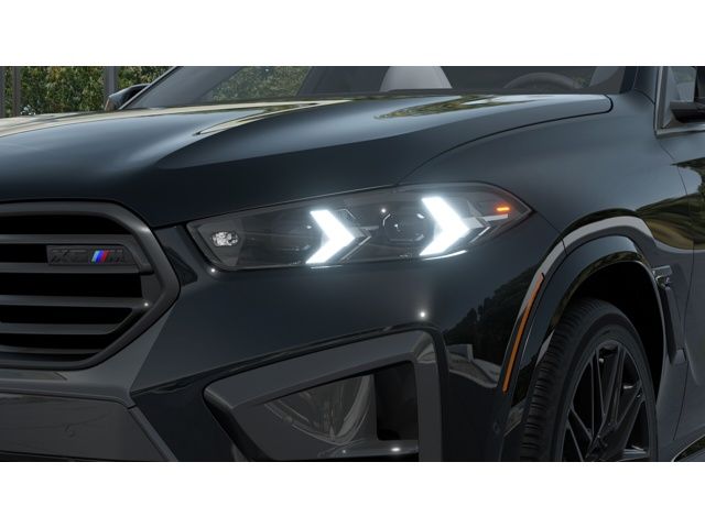 Thumbnail: 2026 BMW X6 - 6
