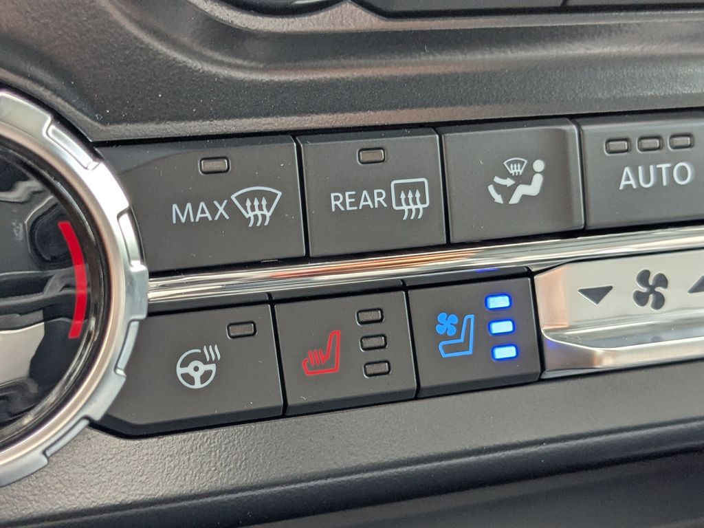 2025 Ford F-250 Super Duty Black Widow